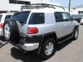 Titanium Metallic - FJ Cruiser 4WD Photo No. 9