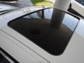 Black Sunroof Photo for 2010 BMW 5 Series #68219202