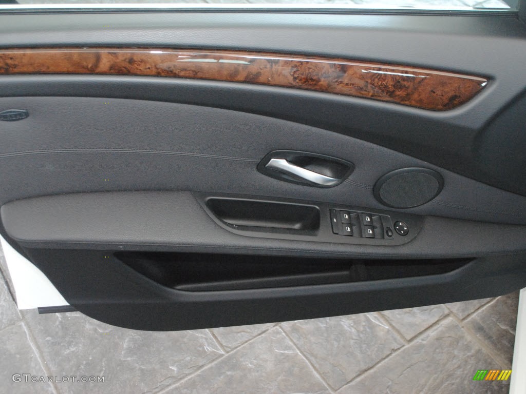 2010 BMW 5 Series 528i Sedan Black Door Panel Photo #68219211