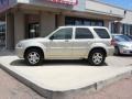 2005 Gold Ash Metallic Ford Escape Limited 4WD  photo #8