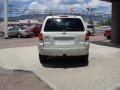 2005 Gold Ash Metallic Ford Escape Limited 4WD  photo #10