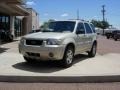 2005 Gold Ash Metallic Ford Escape Limited 4WD  photo #16