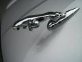 Platinum Silver Metallic - X-Type 2.5 Photo No. 4
