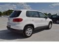 Candy White - Tiguan S Photo No. 2