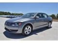 Platinum Gray Metallic - Passat 2.5L SE Photo No. 1