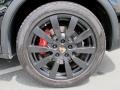 2011 Porsche Cayenne Turbo Wheel and Tire Photo