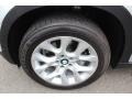 Titanium Silver Metallic - X5 xDrive35i Premium Photo No. 33