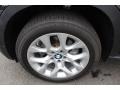 2012 BMW X5 xDrive35i Wheel and Tire Photo