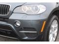 Platinum Gray Metallic - X5 xDrive 35i Photo No. 31