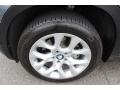 Platinum Gray Metallic - X5 xDrive 35i Photo No. 33