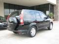 2005 Nighthawk Black Pearl Honda CR-V Special Edition 4WD  photo #7