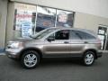 2010 Urban Titanium Metallic Honda CR-V EX AWD  photo #3