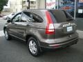 2010 Urban Titanium Metallic Honda CR-V EX AWD  photo #4