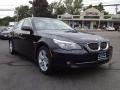 Monaco Blue Metallic - 5 Series 528xi Sedan Photo No. 3