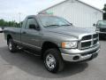 Mineral Gray Metallic - Ram 2500 SLT Regular Cab 4x4 Photo No. 17