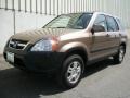Mojave Mist Metallic - CR-V EX 4WD Photo No. 5
