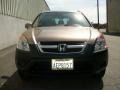Mojave Mist Metallic - CR-V EX 4WD Photo No. 6