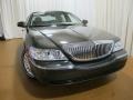 Charcoal Beige Metallic - Town Car Sedan Photo No. 3