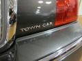 Charcoal Beige Metallic - Town Car Sedan Photo No. 9