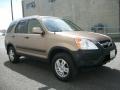 Mojave Mist Metallic - CR-V EX 4WD Photo No. 35