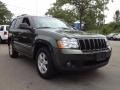 Jeep Green Metallic - Grand Cherokee Laredo 4x4 Photo No. 6