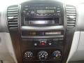 Alpine Gray - Sorento LX 4WD Photo No. 13
