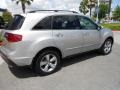Palladium Metallic - MDX SH-AWD Technology Photo No. 7