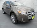 2013 Mineral Gray Metallic Ford Edge Limited  photo #1