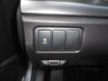 Silver Moon - TSX Sedan Photo No. 31