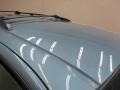 Medium Steel Blue Metallic - Freestar Limited Photo No. 12