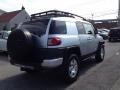 Titanium Metallic - FJ Cruiser 4WD Photo No. 5