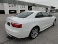Ibis White - S5 4.2 quattro Photo No. 9