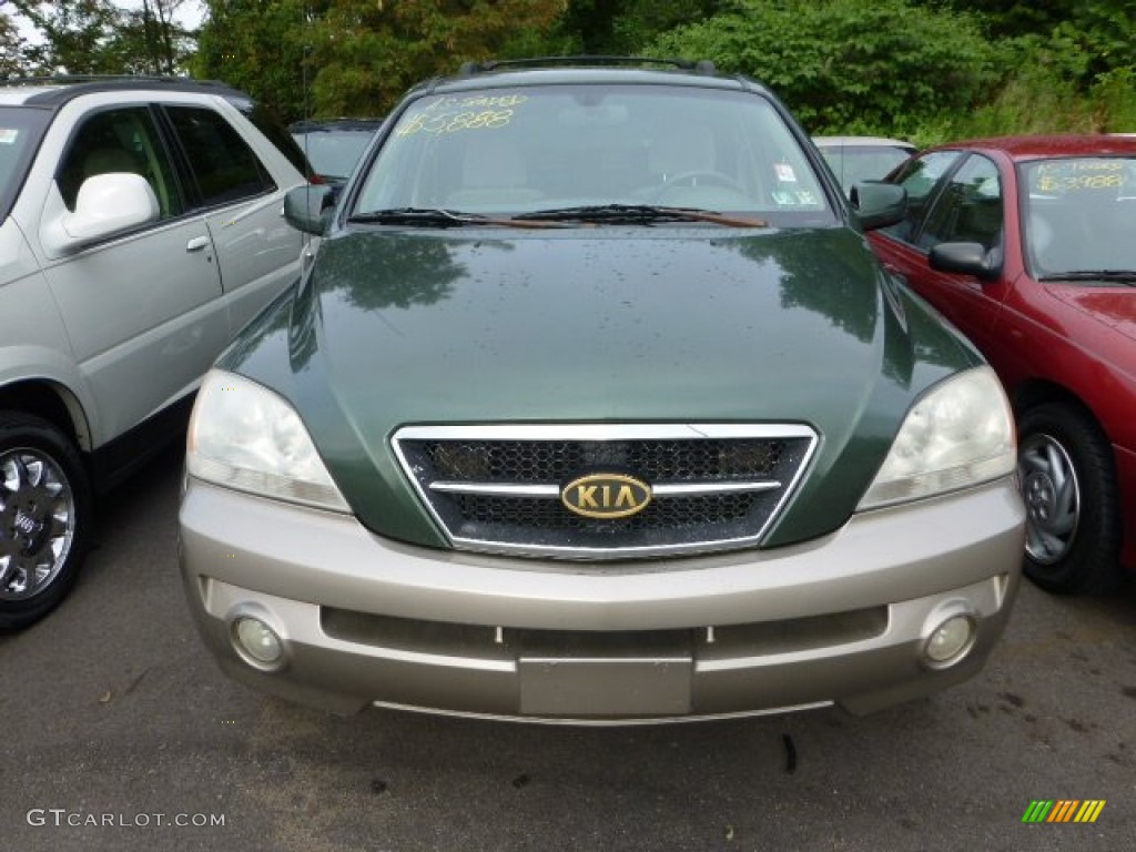 2003 Sorento LX 4WD - Ivy Green Metallic / Beige photo #5