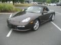 Macadamia Metallic 2009 Porsche Boxster Gallery