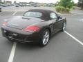 Macadamia Metallic - Boxster S Photo No. 10