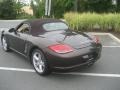 Macadamia Metallic - Boxster S Photo No. 14