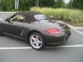 Macadamia Metallic - Boxster S Photo No. 15