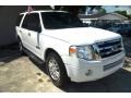 White Suede - Expedition XLT Photo No. 3
