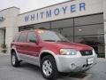 2007 Redfire Metallic Ford Escape Hybrid  photo #1