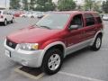 Redfire Metallic 2007 Ford Escape Hybrid Exterior