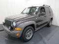 2005 Dark Khaki Pearl Jeep Liberty Renegade 4x4  photo #3