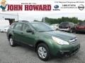 Cypress Green Pearl 2013 Subaru Outback 2.5i