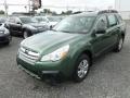 Cypress Green Pearl 2013 Subaru Outback 2.5i Exterior
