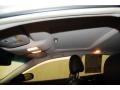 Radiant Silver Metallic - Maxima 3.5 SV Photo No. 13