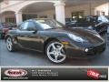 Macadamia Metallic - Cayman  Photo No. 1