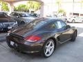 2010 Macadamia Metallic Porsche Cayman   photo #2