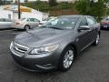 Sterling Grey - Taurus SEL Photo No. 5