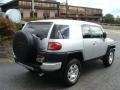 Titanium Metallic - FJ Cruiser 4WD Photo No. 3