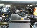 2010 Ford F150 4.6 Liter SOHC 16-Valve Triton V8 Engine Photo
