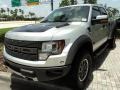 2011 Ingot Silver Metallic Ford F150 SVT Raptor SuperCrew 4x4  photo #14